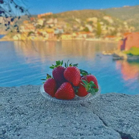 Assos Blue House Apartman Ászosz